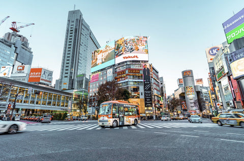Honshu — Where it all begins