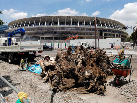 All Eyes on Japan — Tokyo Olympics 2020 (2021)