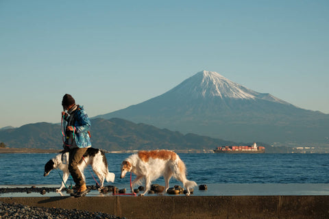How to prepare for a trip to Japan: 5 questions
