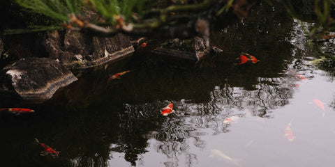 Business information