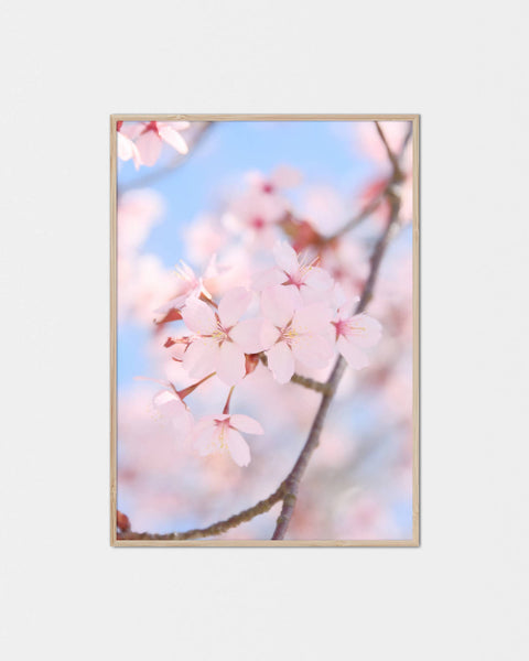 Genki-na Sakura Poster