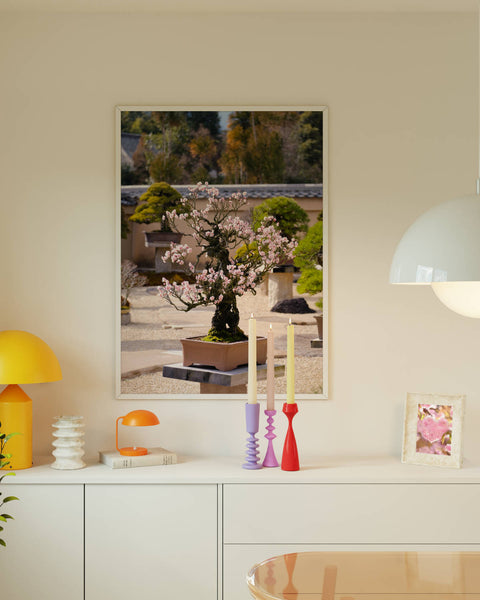 Hitori no Sakura Bonsai Poster
