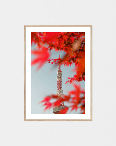 Momiji Love Tokyo-Tower Poster