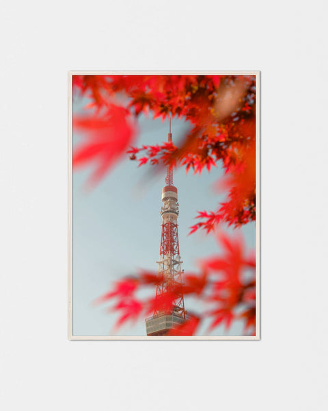Momiji Love Tokyo-Tower Poster