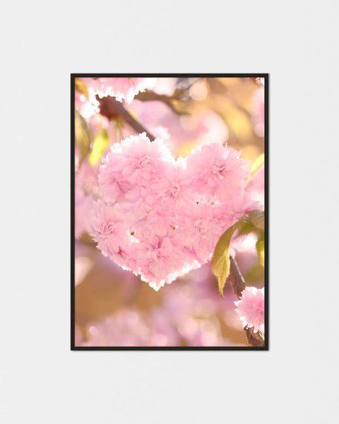 Sakura Kokoro Poster