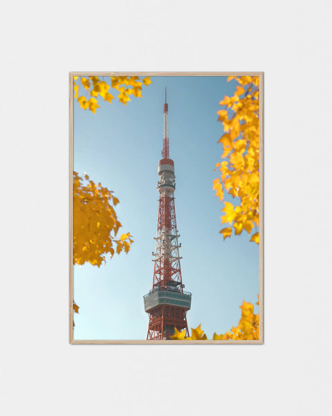 Tokyo-Tower Ginkgo Kimochi